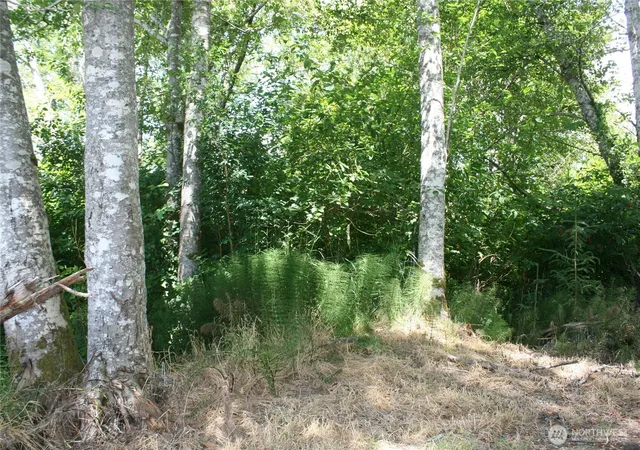 Photo 3 of Land for sale at 0 Farrell St, Aberdeen, WA 98520 | MLS# NWM2553252 | Listing updated on 2026-09-22