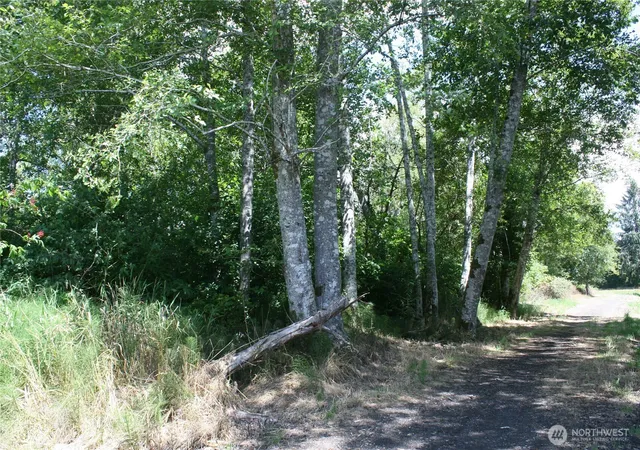 Photo 4 of Land for sale at 0 Farrell St, Aberdeen, WA 98520 | MLS# NWM2553252 | Listing updated on 2026-09-22