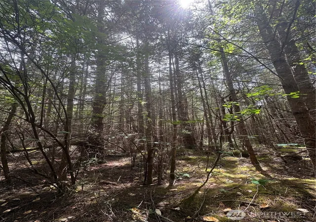 Photo 1 of Land for sale at 0 41st Street, Port Townsend, WA 98368 | MLS# NWM2553315 | Listing updated on 2026-09-22