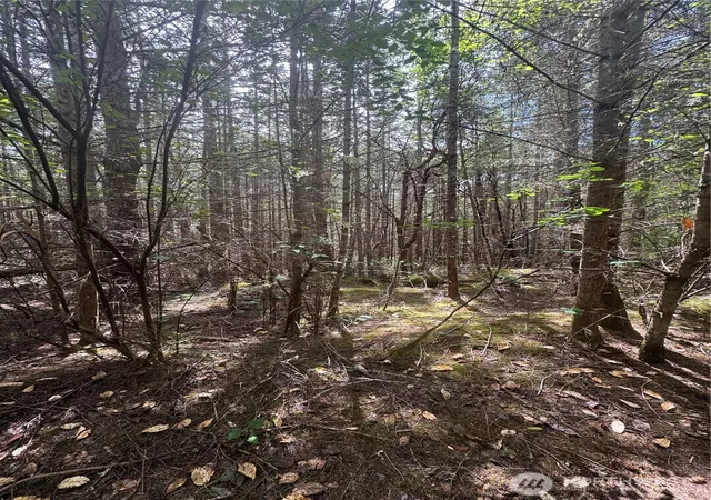 Photo 2 of Land for sale at 0 41st Street, Port Townsend, WA 98368 | MLS# NWM2553315 | Listing updated on 2026-09-22