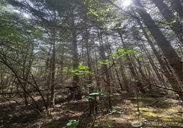 Photo 3 of Land for sale at 0 41st Street, Port Townsend, WA 98368 | MLS# NWM2553315 | Listing updated on 2026-09-22