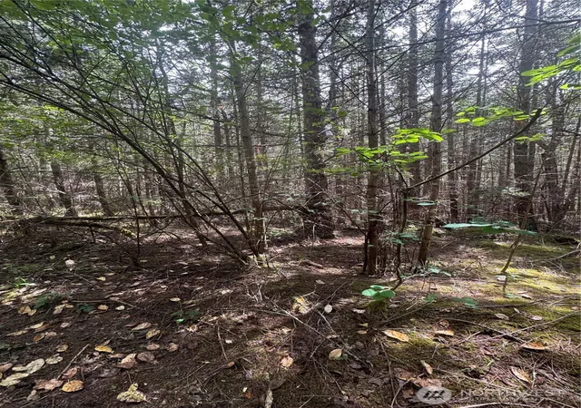 Photo 3 of Land for sale at 0 41st Street, Port Townsend, WA 98368 | MLS# NWM2553315 | Listing updated on 2026-09-22