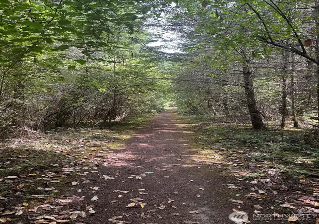 Photo 4 of Land for sale at 0 41st Street, Port Townsend, WA 98368 | MLS# NWM2553315 | Listing updated on 2026-09-22