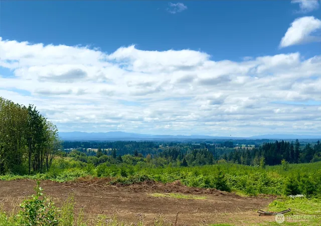 Photo 3 of Land for sale at 441 Schoen Rd, Silver Creek, WA 98585 | MLS# NWM2553320 | Listing updated on 2026-09-22