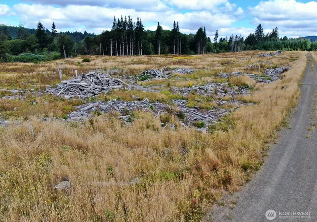 Land for sale at 0 Off Of N River Rd, Cosmopolis, WA 98537 | MLS# NWM2553402