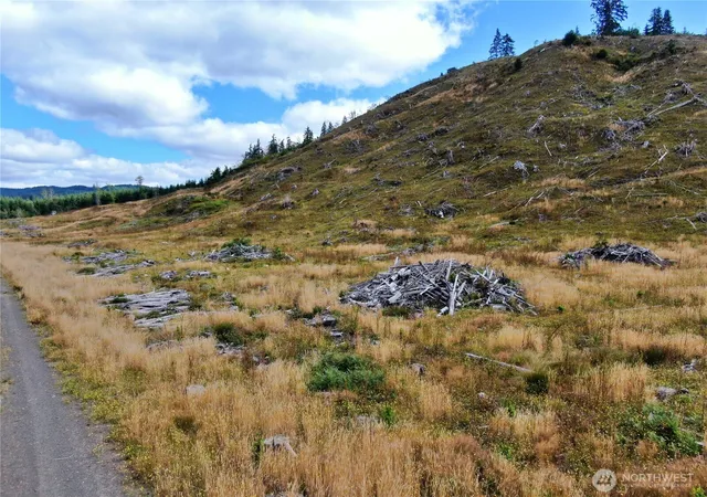 Photo 2 of Land for sale at 0 Off Of N River Rd, Cosmopolis, WA 98537 | MLS# NWM2553402 | Listing updated on 2026-09-22