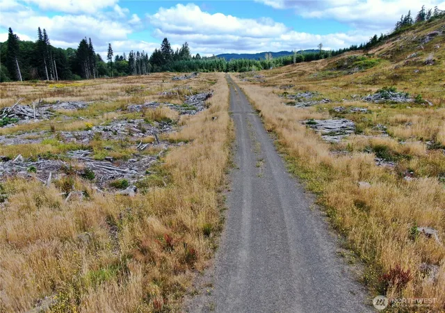 Photo 3 of Land for sale at 0 Off Of N River Rd, Cosmopolis, WA 98537 | MLS# NWM2553402 | Listing updated on 2026-09-22