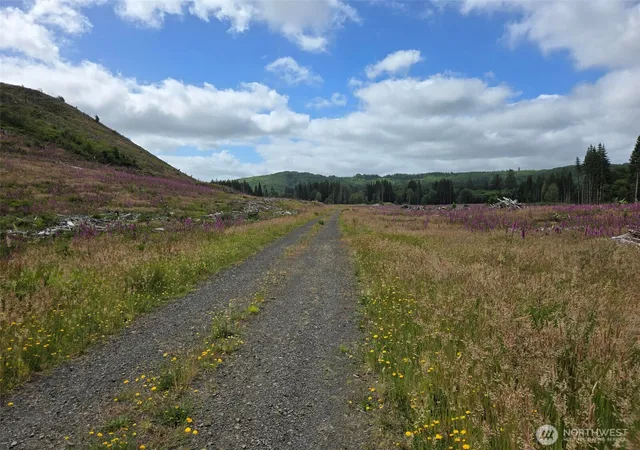 Photo 3 of Land for sale at 0 Off Of N River Rd, Cosmopolis, WA 98537 | MLS# NWM2553402 | Listing updated on 2026-09-22