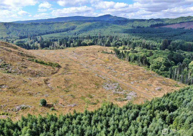 Photo 4 of Land for sale at 0 Off Of N River Rd, Cosmopolis, WA 98537 | MLS# NWM2553402 | Listing updated on 2026-09-22