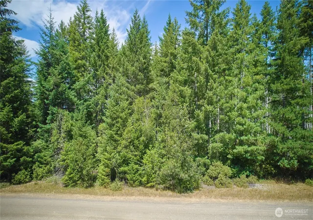 Photo 2 of Land for sale at 500 E Morris Crk Dr, Belfair, WA 98528 | MLS# NWM2553413 | Listing updated on 2026-09-22