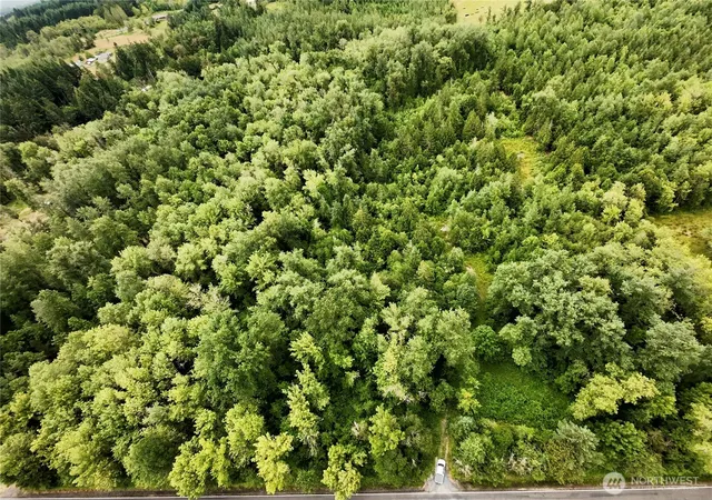 Photo 4 of Land for sale at 0 Gish Rd, Onalaska, WA 98570 | MLS# NWM2553515 | Listing updated on 2026-09-22