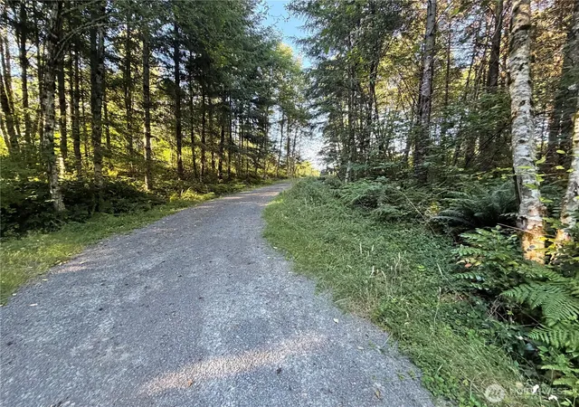 Photo 1 of Land for sale at 217 Ham Rd, Amboy, WA 98601 | MLS# NWM2553544 | Listing updated on 2026-09-22