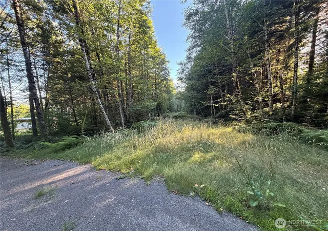 Photo 3 of Land for sale at 217 Ham Rd, Amboy, WA 98601 | MLS# NWM2553544 | Listing updated on 2026-09-22