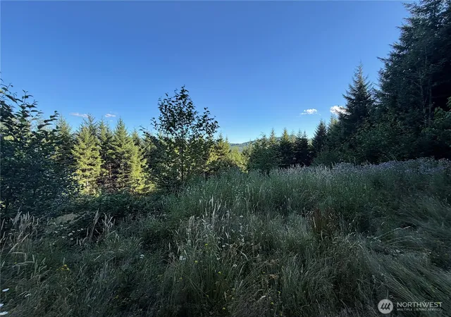 Photo 4 of Land for sale at 217 Ham Rd, Amboy, WA 98601 | MLS# NWM2553544 | Listing updated on 2026-09-22