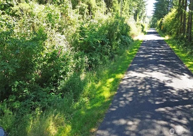 Photo 4 of Land for sale at 0 Peterson Rd SW, Tenino, WA 98589 | MLS# NWM2553552 | Listing updated on 2026-09-22