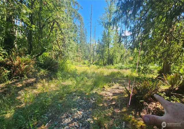 Photo 3 of Sale Pending at 11000 138th Street Ne, Arlington, WA 98223 | MLS# NWM2553647 | Listing updated on 2026-07-31