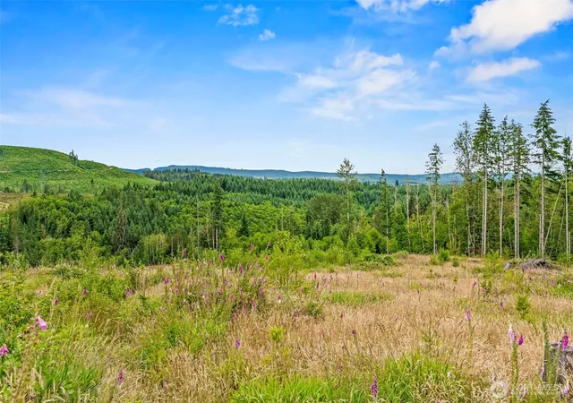Photo 3 of Land for sale at 6 Lot 6 Parker Rd, Toutle, WA 98649 | MLS# NWM2553837 | Listing updated on 2026-09-22