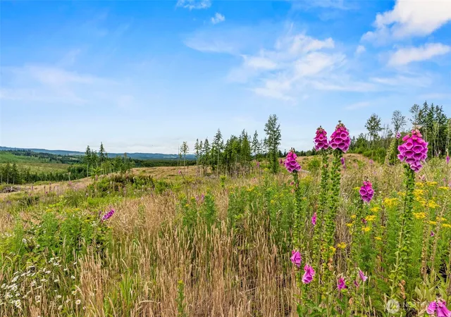 Photo 3 of Land for sale at 4 Lot 4 Parker Rd, Toutle, WA 98649 | MLS# NWM2553858 | Listing updated on 2026-09-22