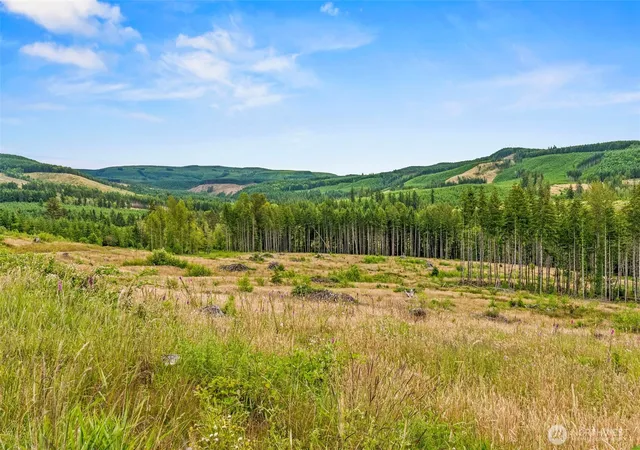 Photo 1 of Land for sale at 3 Lot 3 Parker Rd, Toutle, WA 98649 | MLS# NWM2553868 | Listing updated on 2026-09-22