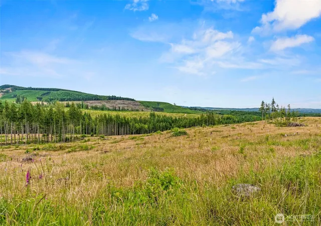 Photo 3 of Land for sale at 2 Lot 2 Parker Rd, Toutle, WA 98649 | MLS# NWM2553883 | Listing updated on 2026-09-22