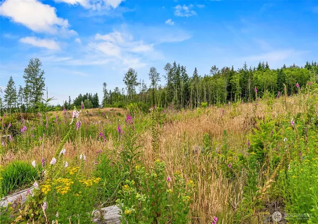 Photo 4 of Land for sale at 2 Lot 2 Parker Rd, Toutle, WA 98649 | MLS# NWM2553883 | Listing updated on 2026-09-22