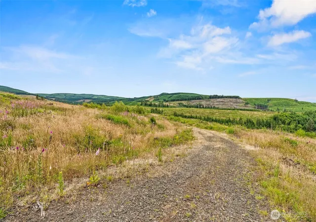 Photo 3 of Land for sale at 1 Lot 1 Parker Rd, Toutle, WA 98649 | MLS# NWM2553887 | Listing updated on 2026-09-22