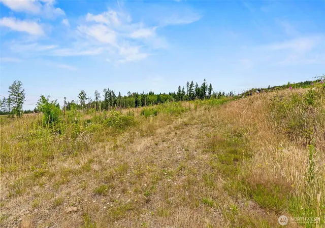 Photo 4 of Land for sale at 1 Lot 1 Parker Rd, Toutle, WA 98649 | MLS# NWM2553887 | Listing updated on 2026-09-22