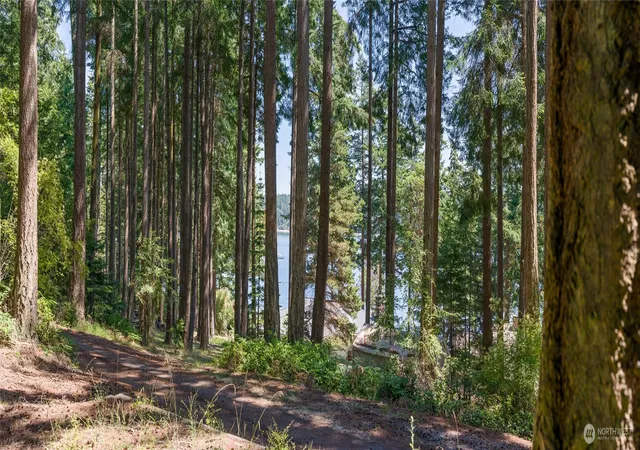 Photo 1 of Land for sale at 0 Captain Leison Ln, Lopez Island, WA 98261 | MLS# NWM2553935 | Listing updated on 2026-09-29
