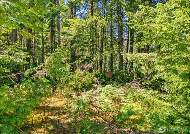 Photo 1 of Land for sale at 0 E Sp1357 Glenwood Dr, Union, WA 98592 | MLS# NWM2553958 | Listing updated on 2026-09-22
