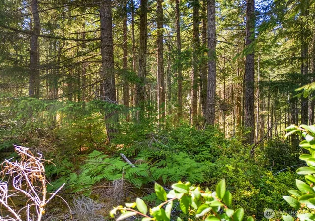 Photo 3 of Land for sale at 0 E Sp1357 Glenwood Dr, Union, WA 98592 | MLS# NWM2553958 | Listing updated on 2026-09-22