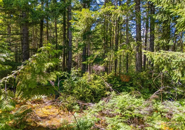Photo 4 of Land for sale at 0 E Sp1357 Glenwood Dr, Union, WA 98592 | MLS# NWM2553958 | Listing updated on 2026-09-22