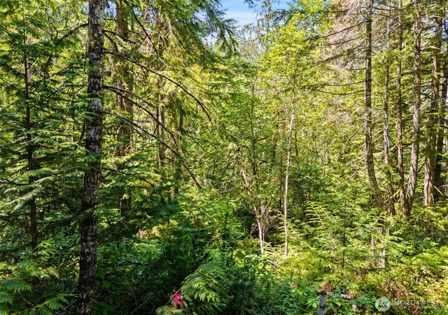 Photo 2 of Land for sale at 0 E Sp1356 Glenwood Dr, Union, WA 98592 | MLS# NWM2553965 | Listing updated on 2026-09-22