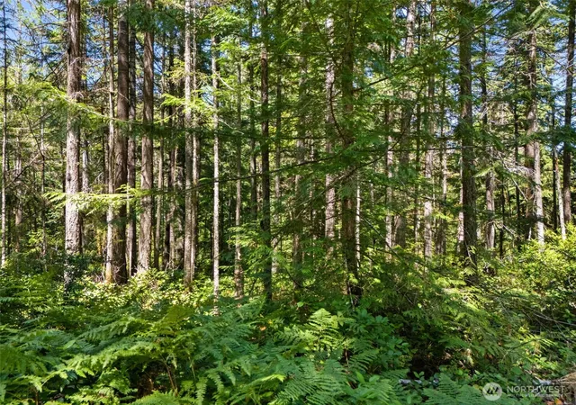 Photo 2 of Land for sale at 0 E Sp1355 Glenwood Dr, Union, WA 98592 | MLS# NWM2553967 | Listing updated on 2026-09-22