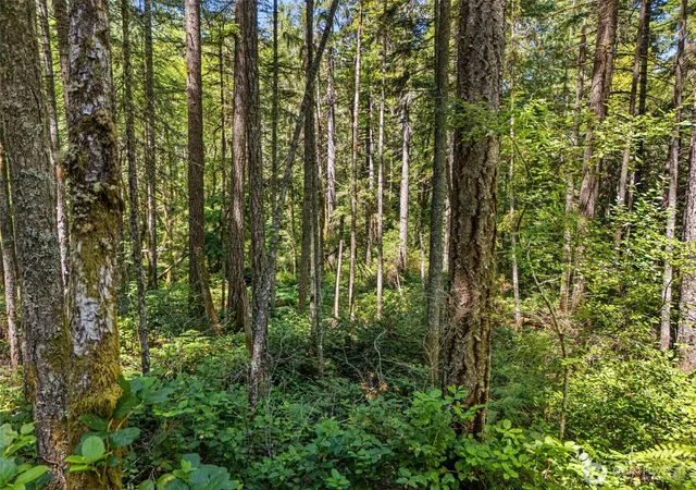 Photo 3 of Land for sale at 0 E Sp1355 Glenwood Dr, Union, WA 98592 | MLS# NWM2553967 | Listing updated on 2026-09-22
