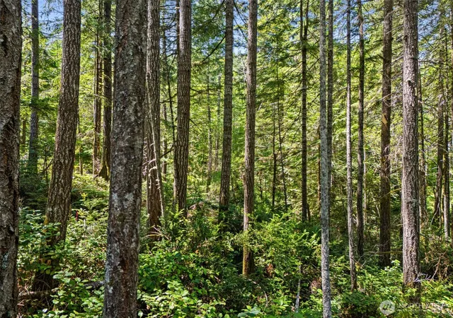 Photo 3 of Land for sale at 0 E Sp1355 Glenwood Dr, Union, WA 98592 | MLS# NWM2553967 | Listing updated on 2026-09-22