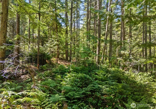 Photo 1 of Land for sale at 0 E Sp1354 Glenwood Dr, Union, WA 98592 | MLS# NWM2553968 | Listing updated on 2026-09-22