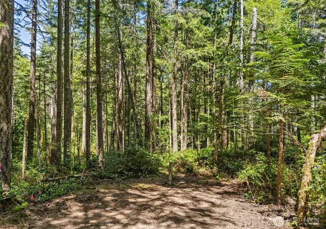 Photo 2 of Land for sale at 0 E Sp1354 Glenwood Dr, Union, WA 98592 | MLS# NWM2553968 | Listing updated on 2026-09-22