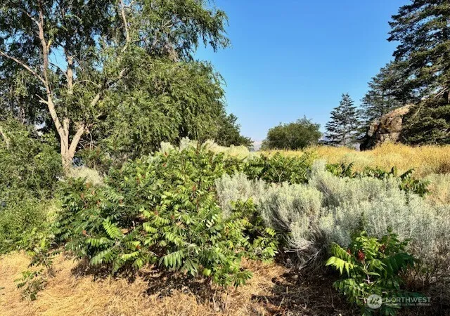 Photo 3 of Land for sale at 1 Shirley Rd N #4, Oroville, WA 98844 | MLS# NWM2553972 | Listing updated on 2026-09-22