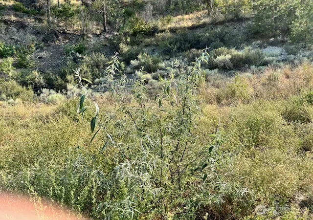 Photo 4 of Land for sale at 1 Shirley Rd N #4, Oroville, WA 98844 | MLS# NWM2553972 | Listing updated on 2026-09-22