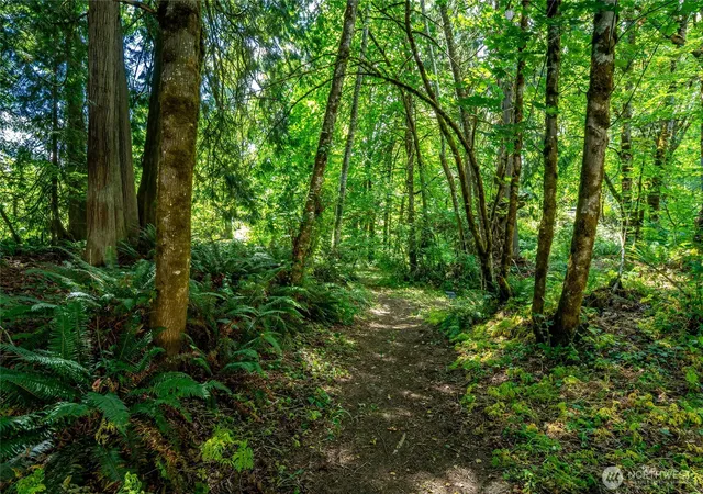Photo 3 of Land for sale at 2100 Mark St Ne, Olympia, WA 98516 | MLS# NWM2554041 | Listing updated on 2026-09-22