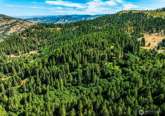 Photo 4 of Land for sale at 6211 US 97 Hwy, Peshastin, WA 98847 | MLS# NWM2554104 | Listing updated on 2026-09-22