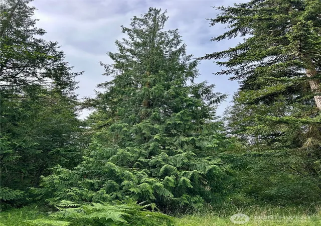 Photo 1 of Land for sale at 3202 Cliff St, Port Townsend, WA 98368 | MLS# NWM2554171 | Listing updated on 2026-09-22