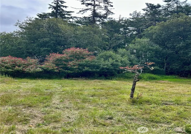 Photo 3 of Land for sale at 3202 Cliff St, Port Townsend, WA 98368 | MLS# NWM2554171 | Listing updated on 2026-09-22