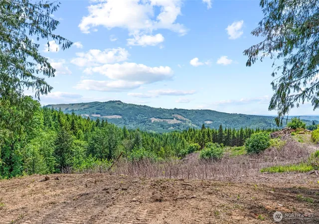 Photo 1 of Land for sale at 1899 Mt Pleasant Rd, Kelso, WA 98626 | MLS# NWM2554191 | Listing updated on 2026-09-22