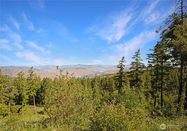 Photo 3 of Land for sale at 0 Melvin Rd, Waterville, WA 98858 | MLS# NWM2554282 | Listing updated on 2026-09-22