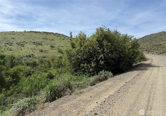 Photo 3 of Land for sale at 0 Titchenal Cyn Rd SW, Waterville, WA 98858 | MLS# NWM2554419 | Listing updated on 2026-09-22