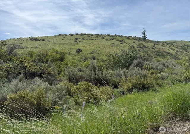 Photo 4 of Land for sale at 0 Titchenal Cyn Rd SW, Waterville, WA 98858 | MLS# NWM2554419 | Listing updated on 2026-09-22