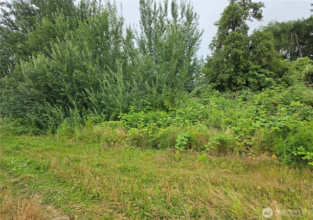 Photo 3 of Land for sale at 0 Benson Rd, Lynden, WA 98264 | MLS# NWM2554484 | Listing updated on 2026-09-22