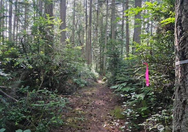 Photo 4 of Land for sale at 23601 Landers Rd SW, Vashon, WA 98070 | MLS# NWM2554560 | Listing updated on 2026-09-22