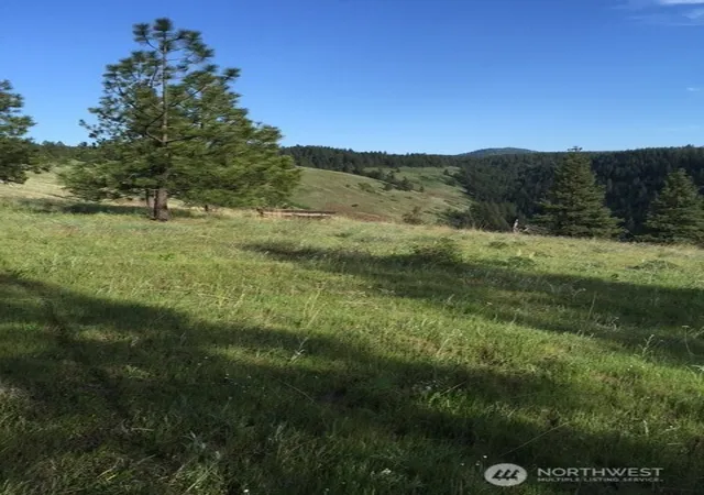 Photo 1 of Land for sale at 0 Bare Land, Waitsburg, WA 99361 | MLS# NWM2554624 | Listing updated on 2026-09-22